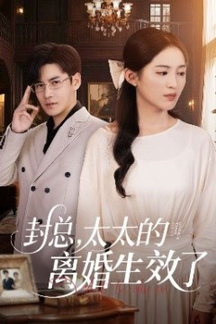 封总，太太的离婚生效了