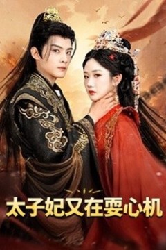 太子妃又在耍心机