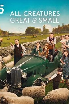 万物生灵第六季