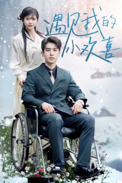 遇见我的小欢喜