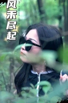 风禾尽起
