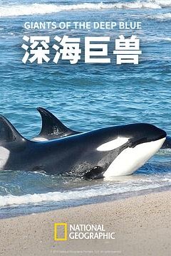 深海巨兽
