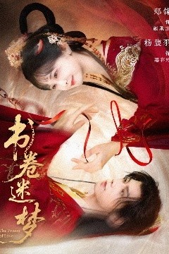 书卷迷梦