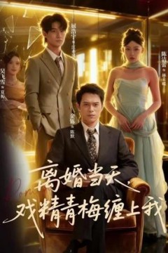 离婚当天戏精青梅缠上我