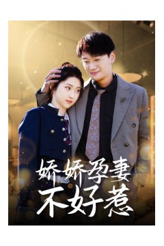 娇娇孕妻不好惹