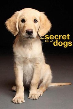 狗的秘密生活