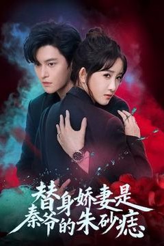 替身娇妻是秦爷的朱砂痣