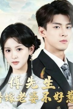 傅先生替嫁老婆不好惹