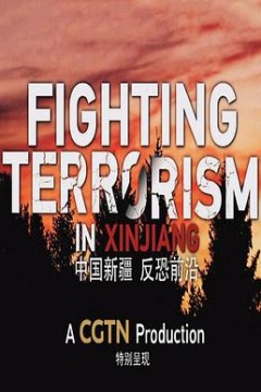 中国新疆反恐前沿