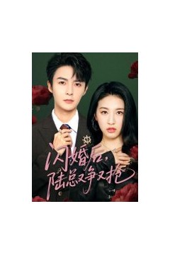 闪婚后陆总又争又抢