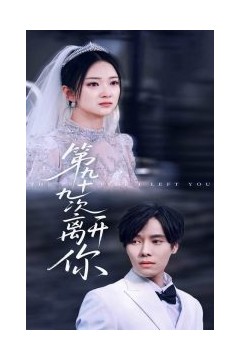 第九十九次离开你
