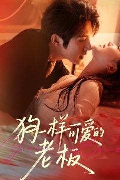 狗一样可爱的老板