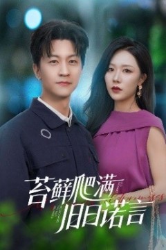 苔藓爬满旧日诺言