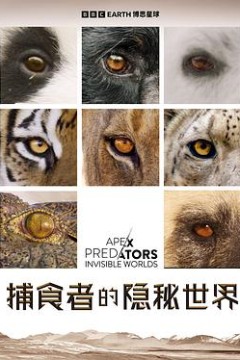 捕食者的隐秘世界