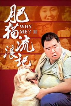 肥猫流浪记粤语