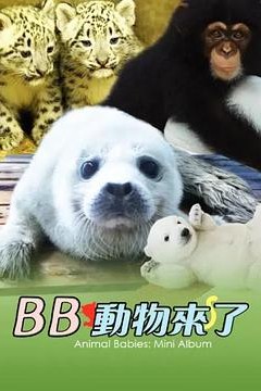 动物宝宝迷你特辑