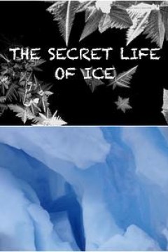冰的秘密