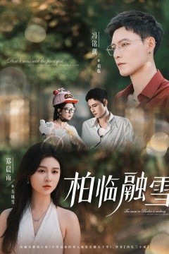 柏临融雪