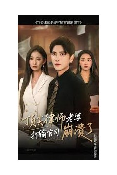 顶尖律师老婆打输官司崩溃了