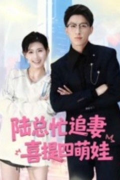 陆总忙追妻喜提四萌娃