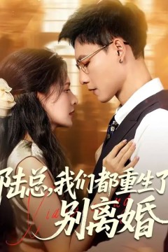 陆总我们都重生了别离婚