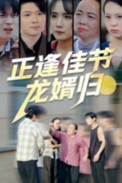 正逢佳节龙婿归