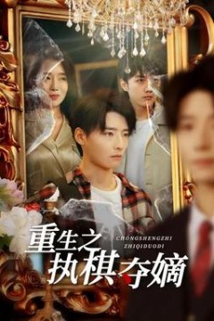 重生之执棋夺嫡