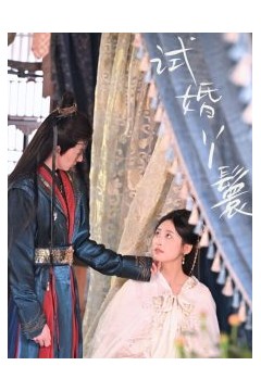 试婚丫鬟