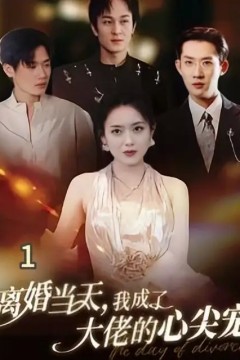 离婚当天我成了大佬的心尖宠