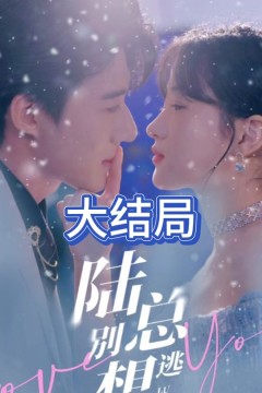 陆总别想逃