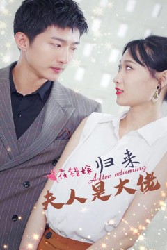 一夜错嫁，归来夫人是大佬