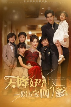 天降好孕，一妈五宝四个爹
