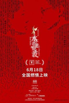 永不消逝的电波2024