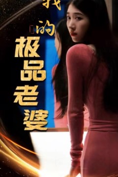我的极品老婆