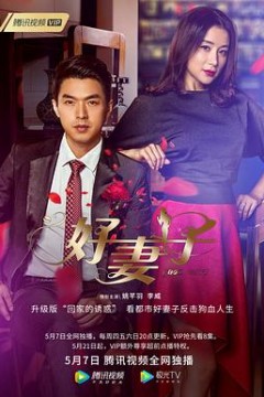 好妻子2020