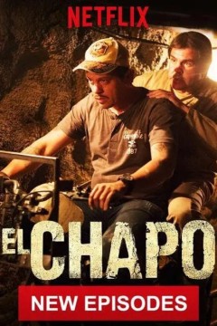 毒枭矮子第三季