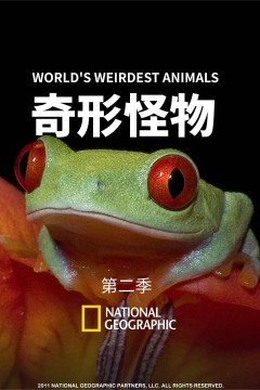 奇形怪物第二季