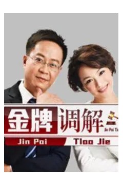 金牌调解2014