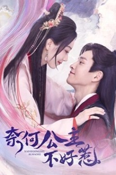 奈何公主不好惹