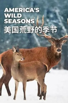美国荒野的季节
