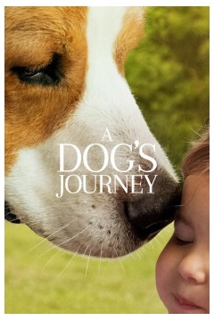 一条狗的使命22019