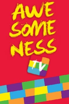 真棒电视第一季