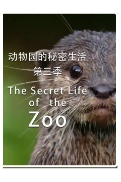 动物园的秘密生活第三季
