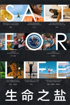 生命之盐