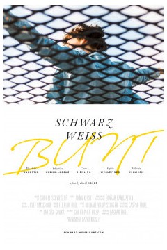 施瓦茨·韦斯短打