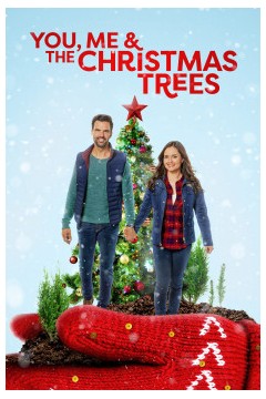 你、我和圣诞树