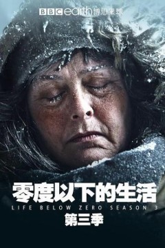 零度以下的生活第三季
