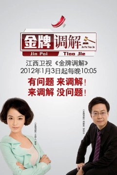 金牌调解2011