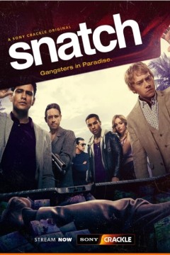 偷拐抢骗第二季