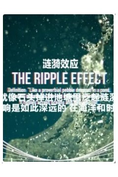涟漪效应第一季